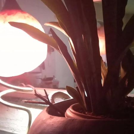 Hotel Fazenda Recanto Das Aguias Aquiraz Dış mekan fotoğraf